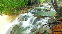 Krabi Jungle Tour (Emerald Pool, Hot Spring & Tiger Cave)