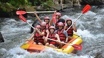 Ayung River Half-Day White Water Rafting Bali in Ubud