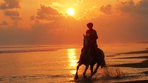Sunset & Horses