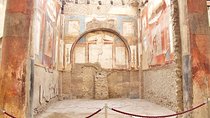 Skip the Line Half Day Private Tour of Herculaneum Highlights with Local Guide