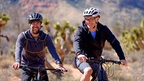 Guided Mountain Bike Tour of Mustang Trail in Red Rock Canyon