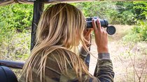 Leopard Safari Tour in Yala National Park