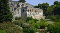 Private Tour: Pompeii Half-Day Trip from Naples
