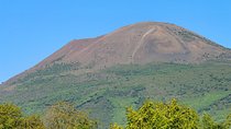 Mt Vesuvius Half-Day Trip from Naples
