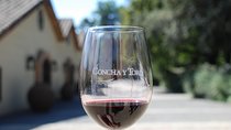 Half-Day Private Tour: Concha y Toro Vineyard from Santiago Winetasting Included