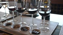 Private Tour: Undurraga Vineyard Experience with Premium Wine Tasting