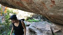 Explore ancient rock art on a private guided trip from Cape Town