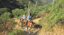 Private Horseback Adventure in the Andes, with Picnic & Wine