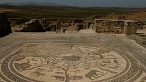 Private Tour from Fez: Meknès and Roman Ruins of Volubilis 