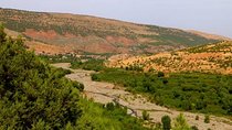 From Marrakech: Private Daytrip to High Atlas, Toubkal National Park and Imlil