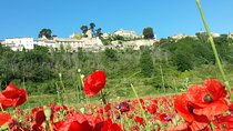 Custom Half-Day Private Tour through Provence