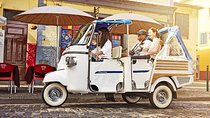 Private Funchal City Tour by Tukxi