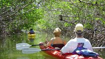 Mangrove Forest Bali Canoe Eco Tour