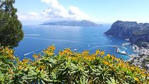A special day in Capri - walking and boat tour