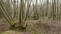 World War 1 Walk Through Trenches and Bunkers