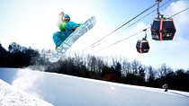 Vivaldi Park Winter Ski Resort with Nami Island Tour from Seoul