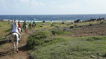 Aruba Horseback Riding Tour to Hidden Lagoon