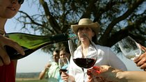 PRIVATE TOUR: Pre or Post Cruise San Antonio Port with Santiago Tour and Winery