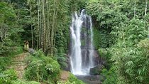 Private Munduk Waterfalls Trekking Tour