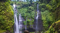 Private Sekumpul Waterfalls Trekking Tour