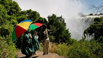 2-Hour Tour of the Victoria Falls
