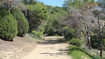 Cagliari: Hiking at the Ancient Roman Road from Chia