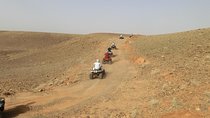Activity: Half Day Quad Bike in Marrakech Palm Groves