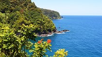 Small-Group Road to Hana Luxury Tour