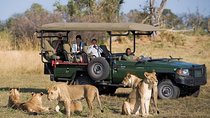 Chobe Sunrise upto Sunset Day trip from Victoria Falls 5AM - 7PM