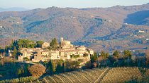 Private Tour: Chianti Region Tour by Minivan