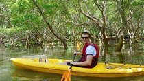 Mangroves Magic - Goa Kayaking Experience