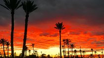 Private Sunset Camel Ride With Tea Break In Marrakeh Palm Grove 