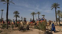 1-Hour Camel Ride in the Palmeraie