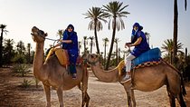 Sunset Camel Riding in the Palm Grove of Marrakech with pickup-drop off