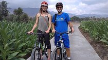 Private Yogyakarta Village Full-Day Bike Tour