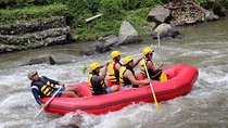 Half-Day Whitewater Rafting with Ubud Hotel Transfers