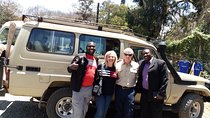 Lake Manyara, Serengeti and Ngoro Ngoro 4 days group joining tour