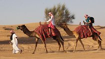 Desert Safari Tour, 6 Hour Fun, Family & Friends, Camel Ride & Dinner Included.