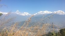 Day Hiking from Sarangkot to World Peace Pagoda from Pokhara