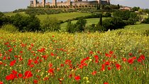 Tuscany Hiking Tour from Siena Including Wine Tasting