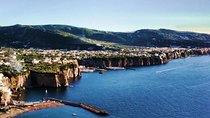Tour of Mt. Vesuvius+Sorrento+Pompeii (Full Day)