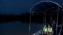 Kuala Selangor Firefly Boat Tour with Roundtrip Transfer from KL