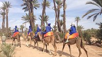 Camel Trek Around Marrakech Palmeraie