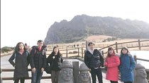 Jeju Island Private Taxi Tour : UNESCO Day Tour