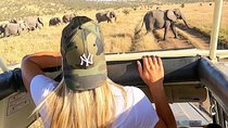 4 Days Serengeti, Tarangire, Ngorongoro Safari Tour