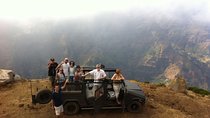 Private & Customizable Safari 4x4 Half-Day Shore Excursion