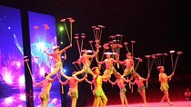 Chaoyang Acrobatic show plus Dim Sum Dinner Experience in Beijing