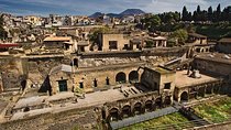 Pompeii 2.5h Herculaneum 2h Small Group with Expert Archaeologist