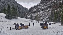 Horse Sleigh Ride in the Polish Countryside, private tour from Krakow