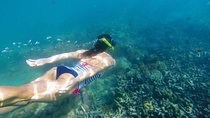 Amazing Snorkeling in Bali
